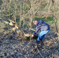 Inspectorii de Mediu din Rîșcani Descoperă Tăieri Ilicite în Malinovscoe
