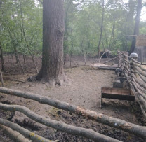 Inspectorii de mediu din Drochia contracarează tăierile ilegale și folosirea neautorizată a terenurilor din fondul forestier pentru creșterea animalelor domestice
