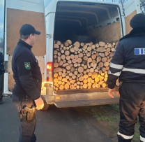 Acțiuni decisive ale Inspectorilor de Mediu împotriva Tăierilor Ilicite de Lemn în Ungheni