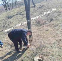 Raziile inspectorilor de mediu din Hîncești: mai multe încălcări ale legislației de mediu depistate în teritoriu