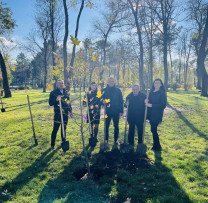 Inspectorii de Mediu și Î.M. „Amenajarea Teritoriului și Spații Verzi Bălți” încep sădirea a 24 de arbori pentru revitalizarea Parcului Victoriei