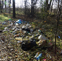 Inspectoratul pentru Protecția Mediului  Interzice Acțiunile Nocive