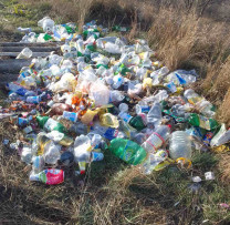 Acțiunea Vigilentă a Inspectorilor de Mediu din Bălți: Contracararea Incendierii Biodeșeurilor și Combaterea Tăierilor Ilicite