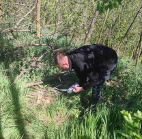 Tăiere ilegală a 72 de arbori descoperită într-un trup de pădure din Alexăndrești