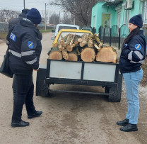 Inspectorii de Mediu din Ocnița Opresc Transportul Ilegal de Lemn într-o Acțiune Coordonată