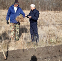 Eforturi Comunitare pentru Împădurire în Șoldănești: O Pădure de Salcâm se Înfiripă pe 20 de Hectare