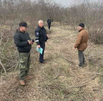 Inspectorii de mediu descoperă tăieri ilegale de arbori în extravilanul localității Cobîlea, RAIONUL ȘOLDĂNEȘTI