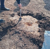 Tăieri Ilegale de Arbori Descoperite la Pivniceni de către inspectorii de mediu din Dondușeni