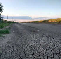 Starea apei și încurajarea împăduririi: un apel la acțiune pentru locuitorii din Taraclia