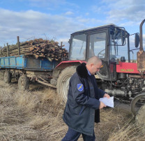 Inspectorii de Mediu din Telenești iau Măsuri împotriva Încălcărilor în Transportul de Masă Lemnoasă