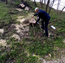 Caz de tăiere ilegală de arbori în zona de protecție a pârâului, descoperit de inspectorii de mediu din Șoldănești
