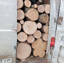 Operațiune Reușită a Inspectorilor de Mediu din Căușeni: Stopare a Transportului Ilegal de Lemn