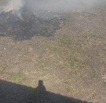 Razii desfășurate la Bălți și Elizaveta: o persoană amendată cu 10.000 lei pentru incendierea resturilor vegetale