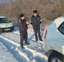 Raziile Inspectorilor de Mediu: Lupta Împotriva Tăierilor Ilegale de Lemn în Dondușeni