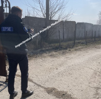 Nereguli de mediu sancționate la Fălești: amenzi și prejudicii constatate în urma raziilor