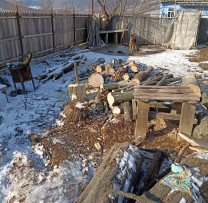 Razia Împotriva Braconajului și Tăierilor Ilicite Revelă Acte de Vandalism Asupra Fondului Forestier din Călărași