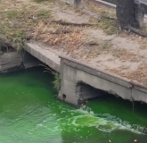 Precizările Inspectoratului pentru Protecția Mediului privind apa de culoare verde observată într-un râu din capitală