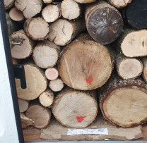 Inspecția pentru Protecția Mediului și Poliției Călărași au  Oprit în trafic transportul ilegal de masă lemnoasă
