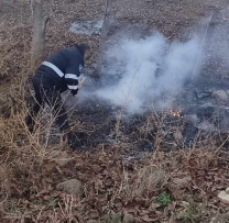 Inspectorii de Mediu din Criuleni Acționează împotriva Ardărilor Ilegale și Încălcărilor Gestionării Deșeurilor