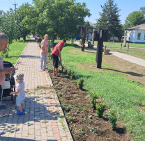 ACȚIUNI DESFĂȘURATE ÎN CADRUL  CAMPANIEI DE SALUBRIZARE
