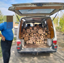 Inspectorii de mediu din Ocnița au depistat încălcări ale legislației ecologice
