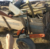 CONTRACARAREA TĂIERILOR ILICITE LA TARACLIA