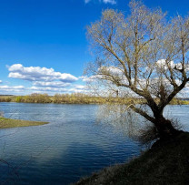 Bătrânul Nistru