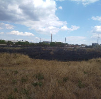 INCENDIEREA RESTURILOR VEGETALE ÎN MUN. BĂLȚI