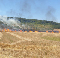Fără foc în câmp! Inspectoratul pentru Protecția Mediului avertizează asupra pericolului de incendii