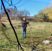 Amenzi Drastice pentru Încălcările Ecologice