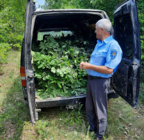 Razii de mediu desfășurate de inspectorii din Șoldănești