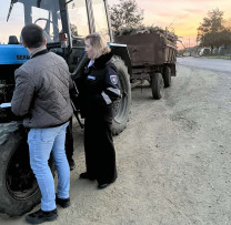 Transport ilegal de masă lemnoasă depistat de inspectorii de mediu din Cahul