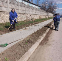 Locuitorii din Zubrești se implică activ în salubrizarea localității