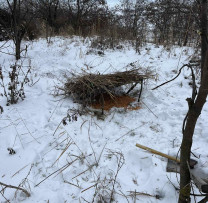 Colaborare exemplară între Inspectorii de Mediu din Rîșcani și Membrii Societății Vânătorilor și Pescarilor pentru Îmbunătățirea Condițiilor de Trăit ale Faunei Sălbatice în Perioada Rece a Anului
