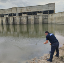 Raziile inspectorilor de Mediu din Ștefan Vodă opresc braconajul piscicol în sectorul Talmaza, Cioburciu