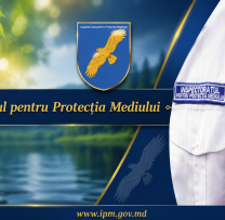 Sinteza săptămânii la Inspectoratul pentru Protecția Mediului