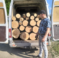 Inspectorii de Mediu din Ocnița Înăspresc Controalele: Transport Ilegal de Lemn Descoperit