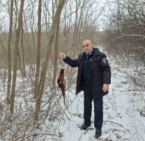 Braconaj cu lațuri depistat în fondul forestier și pe terenuri agricole din localitatea Bogzești, raionul Telenești
