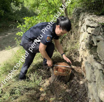 Amenzi de zeci de mii de lei și prejudicii recuperate în urma raziilor inspectorilor de mediu din Florești