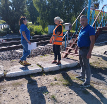 COMBATEREA RĂSPÂNDIRII AMBROZIEI ÎN OCNIȚA