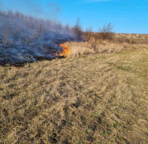 Scandalul tăierilor ilegale și incendiilor de vegetație continuă să alarmeze inspectorii de mediu din Dondușeni