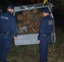 Razie Nocturnă: Prinși în Flagrant Doi Locuitori din Malinovscoe, Tăind Arbori Ilegal