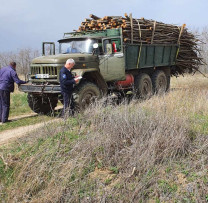 Inspectorii de mediu din Călărași iau măsuri împotriva transportului ilegal de masă lemnoasă