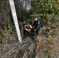 Inspectorii de Mediu din Hîncești Conduc O Campanie de Toamnă Pentru Protejarea Mediului și Implicarea Comunității Locale