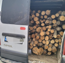 Transport Ilegal de Lemn Depistat de Inspectorii de Mediu din Ocnița