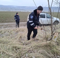 RAZII ALE INSPECTORILOR DE MEDIU ÎN HÎNCEȘTI: TĂIERE ILEGALĂ DE COPACI ȘI CONTROALE ÎN DOMENIUL CINEGETIC