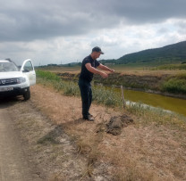 Contracararea tăierilor ilegale și combaterea braconajului piscicol și a încălcărilor în domeniul mediului la Fălești