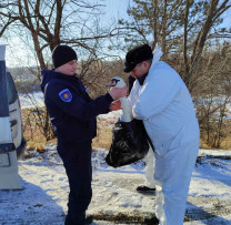 Echipa de Inspectori de Mediu și Siguranța Alimentelor Salvează Eroul Nevăzut: Lebăda Înghețată din Lacul Public al Rîșcani
