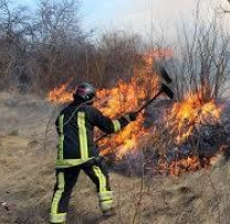 ARDEREA RESTURILOR VEGETALE – PREJUDICIU MAJOR PENTRU MEDIU