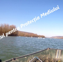 Razii ale inspectorilor de mediu pe râul Nistru: sancțiuni pentru încălcarea regulilor de pescuit